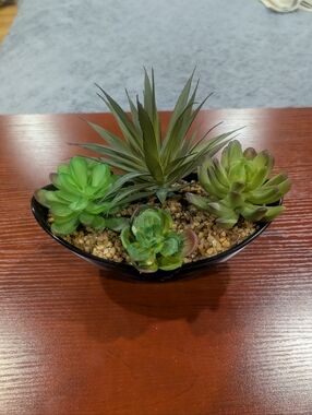 Fake Succulents In Black Bowl